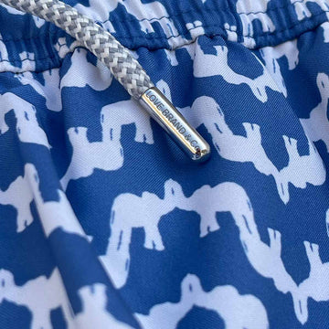 Love Brand - Kids' Elephant Palace Swim Shorts