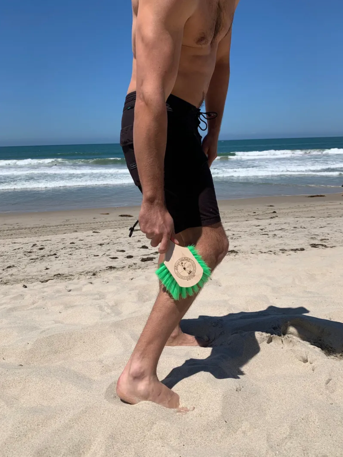 Surf Brush with SHORT 8" Handle - Green
