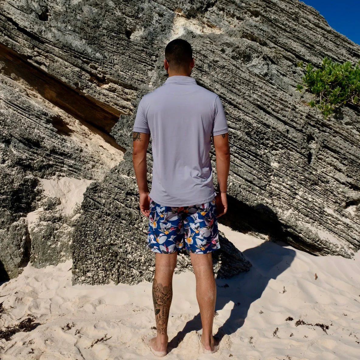 Men's Swim Shorts ♻️ Longtails & Loquats - Navy