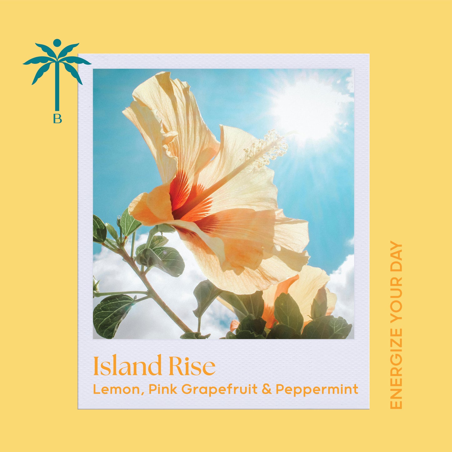 Isla Botanica Island Rise – Classic Candle 280g