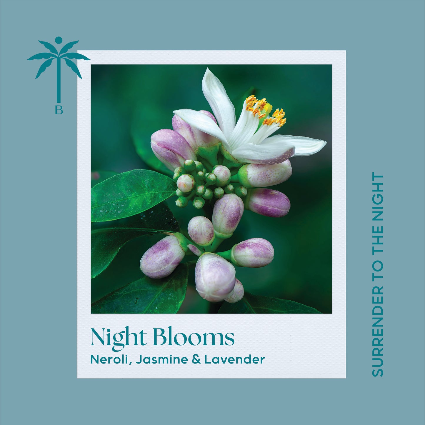 Isla Botanica Night Blooms – Classic Candle 280g