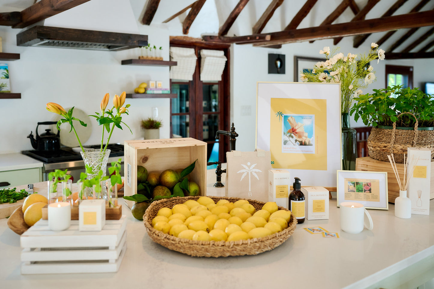 Isla Botanica Island Rise – Reed Diffuser 200ml