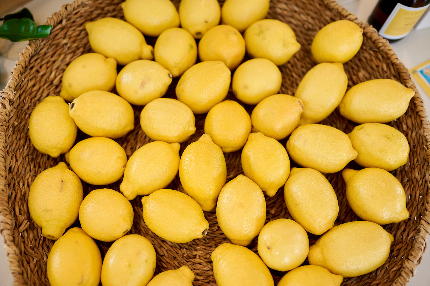 Isla Botanica Island Rise – Reed Diffuser 200ml